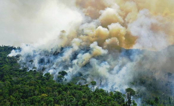 Шаман, который борется. В период с 2020 по 2021 год вырубка лесов увеличилась на 22 %, а незаконная добыча золота способствует распространению болезней среди коренного населения. © Карл де Суза / Информагентство AFP